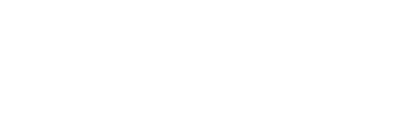 Logotype Midge Concept
